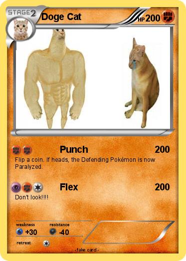 Pokemon Doge Cat