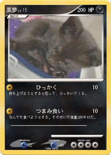 Pokemon 黒夢