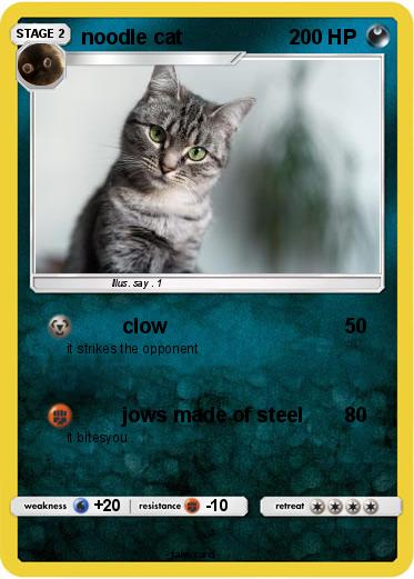 Pokemon noodle cat