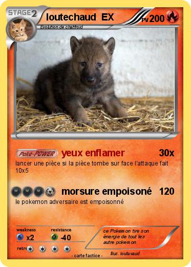 Pokemon loutechaud  EX
