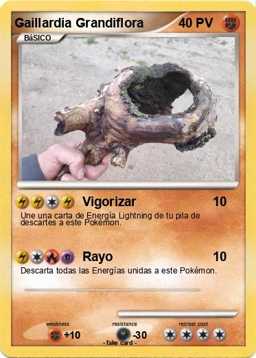 Pokemon Gaillardia Grandiflora