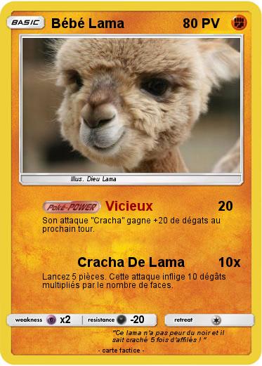 Pokemon Bébé Lama