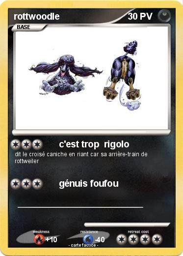 Pokemon rottwoodle