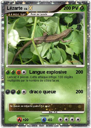 Pokemon Lézarte