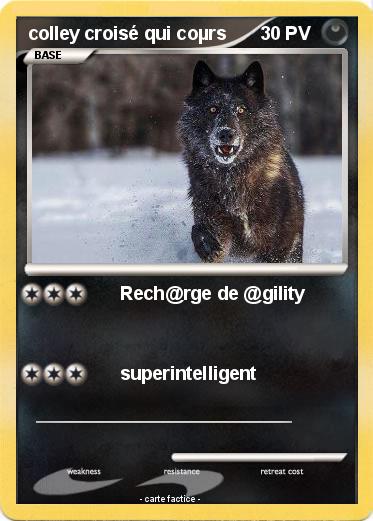 Pokemon colley croisé qui coµrs