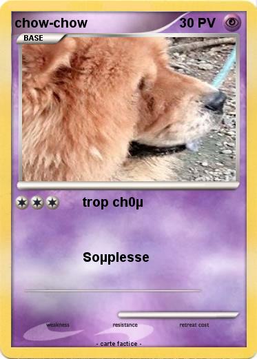 Pokemon chow-chow