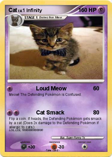 Pokemon Cat