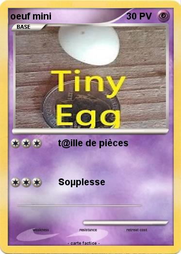 Pokemon oeuf mini