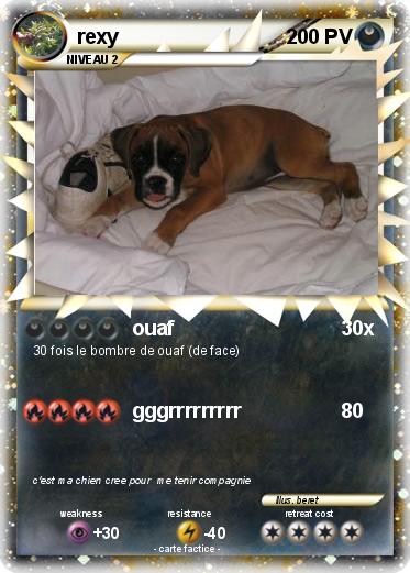 Pokemon rexy