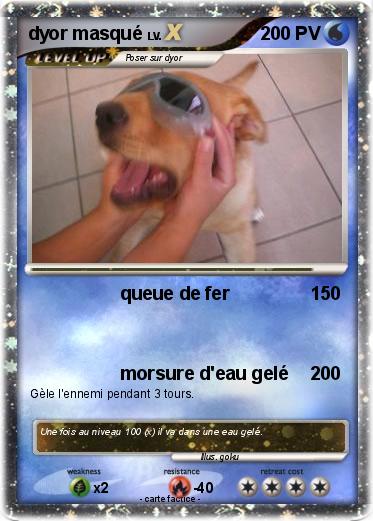 Pokemon dyor masqué