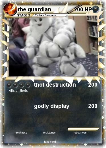 Pokemon the guardian