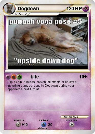 Pokemon Dogdown