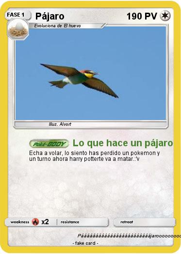 Pokemon Pájaro