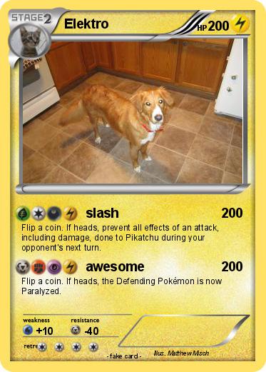 Pokemon Elektro