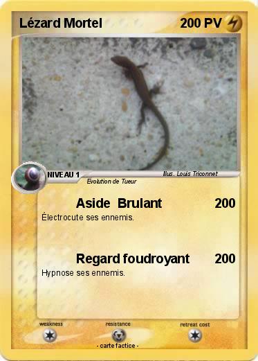 Pokemon Lézard Mortel