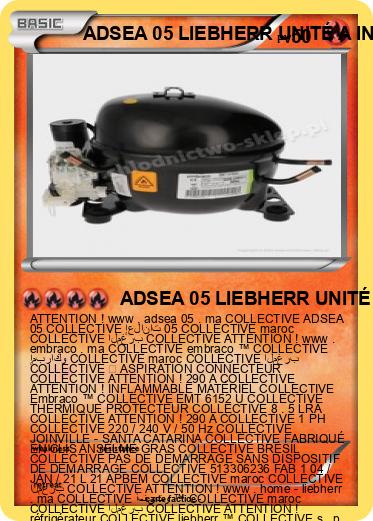 Pokemon ADSEA 05 LIEBHERR UNITÉ A INTERNAT IME MAROC
