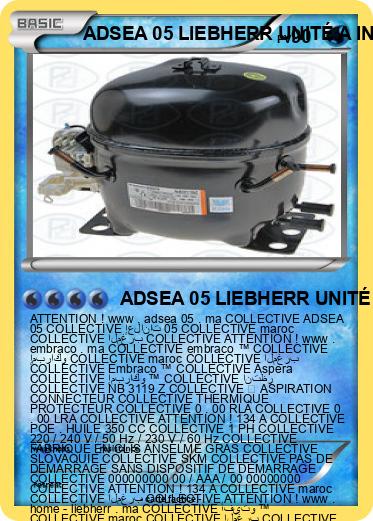 Pokemon ADSEA 05 LIEBHERR UNITÉ A INTERNAT IME MAROC