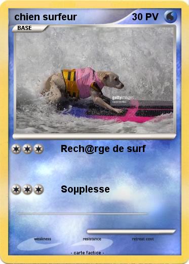 Pokemon chien surfeur