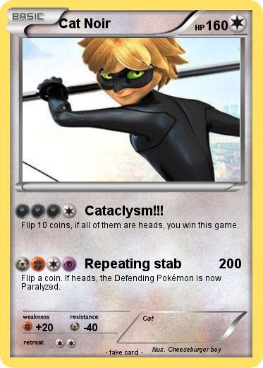 Pokemon Cat Noir