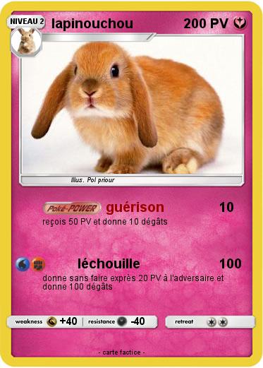 Pokemon lapinouchou