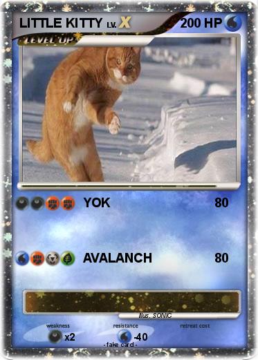 Pokemon LITTLE KITTY
