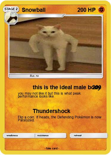 Pokemon Snowball