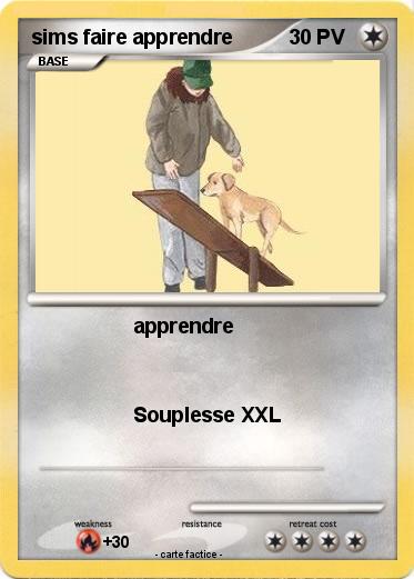Pokemon sims faire apprendre