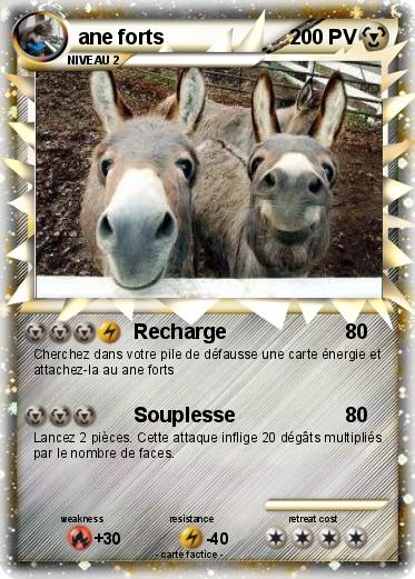 Pokemon ane forts