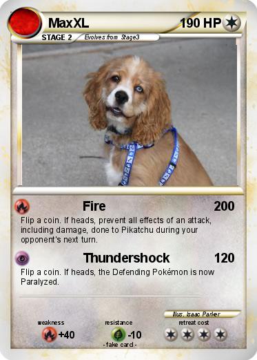 Pokemon MaxXL