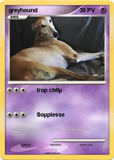 Pokemon greyhound