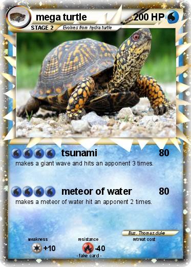 Pokemon mega turtle