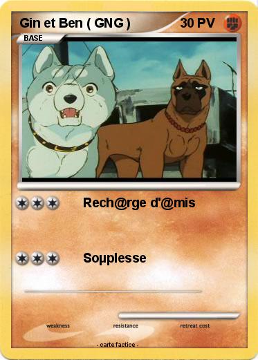 Pokemon Gin et Ben ( GNG )