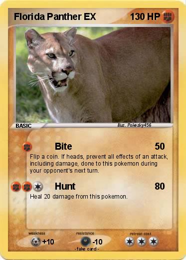 Pokemon Florida Panther EX