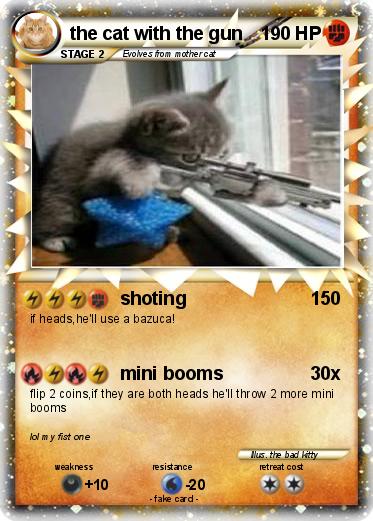 Pokemon the cat with the gun
