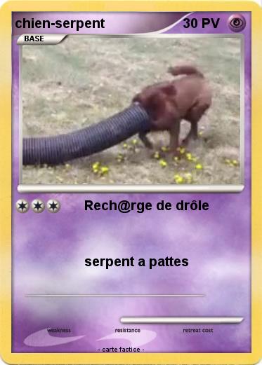 Pokemon chien-serpent
