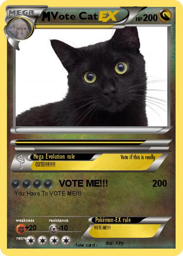 Pokemon Vote Cat