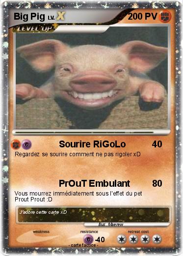 Pokemon Big Pig