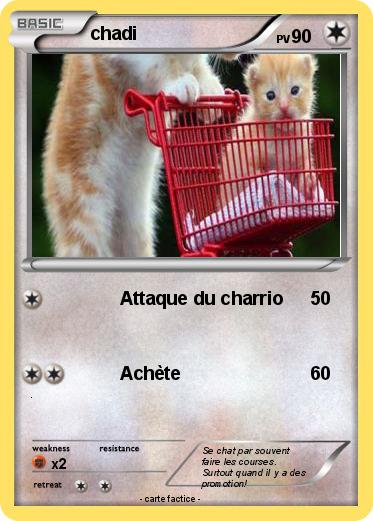 Pokemon chadi