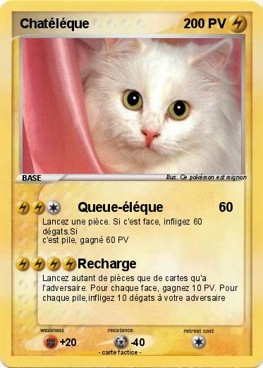 Pokemon Chatéléque