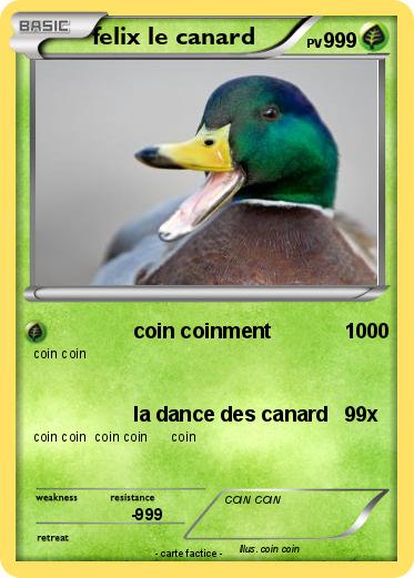 Pokemon felix le canard