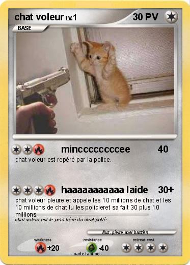 Pokemon chat voleur