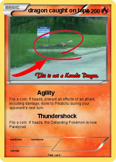Pokemon dragon caught on tape