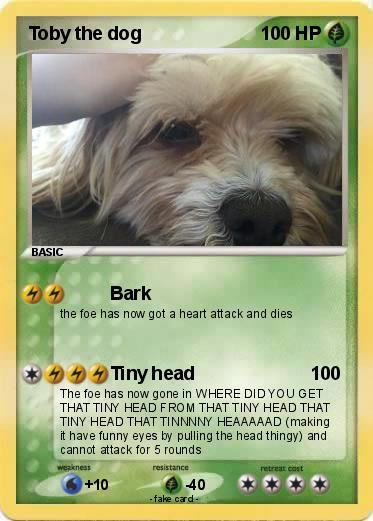 Pokemon Toby the dog