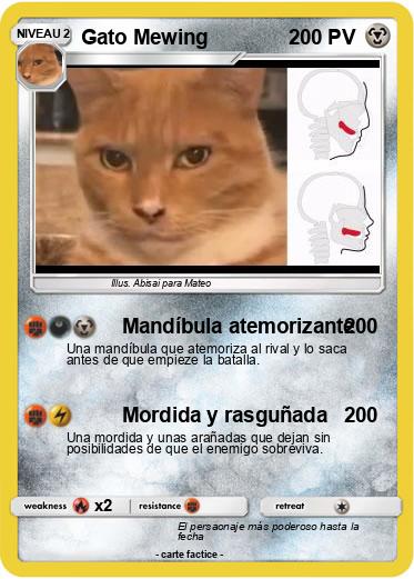 Pokemon Gato Mewing