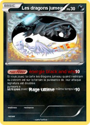Pokemon Les dragons jumeau