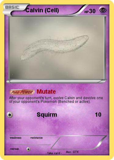 Pokemon Calvin (Cell)