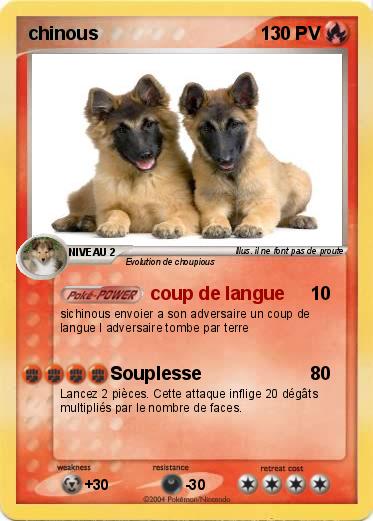 Pokemon chinous