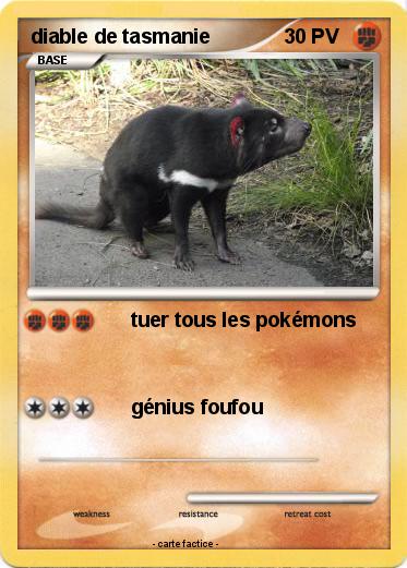 Pokemon diable de tasmanie