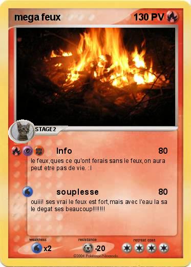 Pokemon mega feux