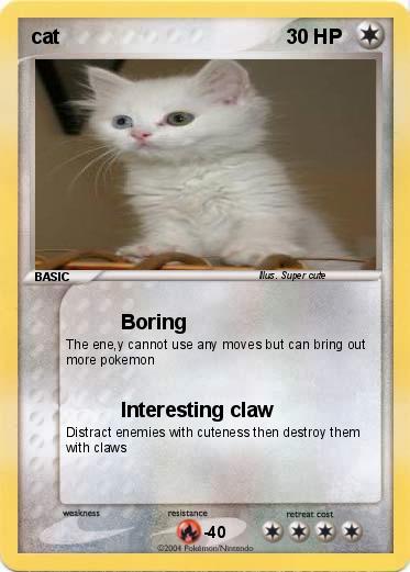 Pokemon cat